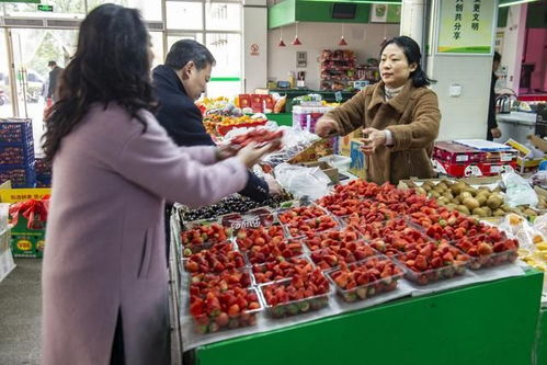 互聯(lián)網(wǎng)買菜風(fēng)潮下，實(shí)體農(nóng)貿(mào)市場為何依然不可或缺？